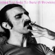 El texto musical TEEN-AGE PROSTITUTE de FRANK ZAPPA también está presente en el álbum Ship arriving to late to save a drowning witch (1982)