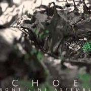 El texto musical ECHOGENETIC de FRONT LINE ASSEMBLY también está presente en el álbum Echoes (2014)