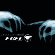 El texto musical LUCK de FUEL también está presente en el álbum Natural selection (2003)