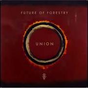 El texto musical STILLED de FUTURE OF FORESTRY también está presente en el álbum Future of forestry (2006)
