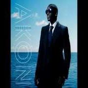 El texto musical WE DON'T CARE de AKON también está presente en el álbum Freedom (2008)