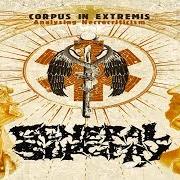 El texto musical UNWITTING DONOR/CADAVER EXCHANGE de GENERAL SURGERY también está presente en el álbum Corpus in extremis: analysing necrocriticism (2009)