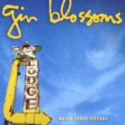 El texto musical LEARNING THE HARD WAY de GIN BLOSSOMS también está presente en el álbum Major lodge victory (2006)