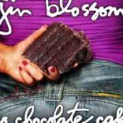 El texto musical SOMETHING REAL de GIN BLOSSOMS también está presente en el álbum No chocolate cake (2010)