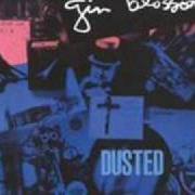 El texto musical IDIOT SUMMER de GIN BLOSSOMS también está presente en el álbum Dusted (re-release) (2002)