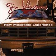 El texto musical HIGHWIRE de GIN BLOSSOMS también está presente en el álbum Congratulations i'm sorry (1996)