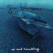 El texto musical KELI RICHARDS de GIN BLOSSOMS también está presente en el álbum Up and crumbling [ep] (1991)