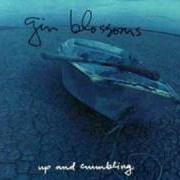 El texto musical MRS. RITA de GIN BLOSSOMS también está presente en el álbum Up and crumbling [ep] (1991)