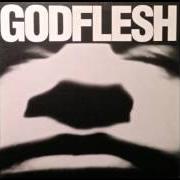 El texto musical AVALANCHE MASTER SONG de GODFLESH también está presente en el álbum Godflesh (1988)