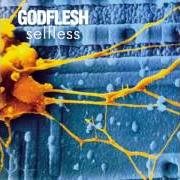 El texto musical ANYTHING IS MINE de GODFLESH también está presente en el álbum Selfless (1994)