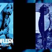 El texto musical CONTROLFREAK de GODFLESH también está presente en el álbum Us and them (1999)