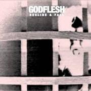El texto musical DECLINE & FALL de GODFLESH también está presente en el álbum Decline & fall (2014)