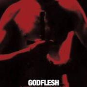 El texto musical DEADEND de GODFLESH también está presente en el álbum A world lit only by fire (2014)