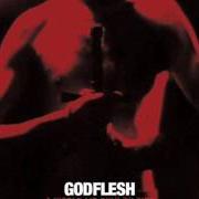 El texto musical NEW DARK AGES de GODFLESH también está presente en el álbum A world lit only by fire (2014)