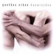 El texto musical ZWISCHENZEIT de GOETHES ERBEN también está presente en el álbum Dazwischen (2005)