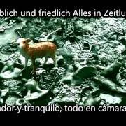 El texto musical VERMISSTER TRAUM de GOETHES ERBEN también está presente en el álbum Nichts bleibt wie es war (2001)