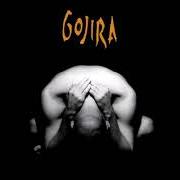 El texto musical RISE de GOJIRA también está presente en el álbum Terra incognita (2001)