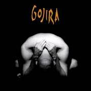 El texto musical BLOW ME AWAY YOU (NIVERSE) de GOJIRA también está presente en el álbum Terra incognita (2001)