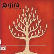 El texto musical OVER THE FLOWS de GOJIRA también está presente en el álbum The link (2003)