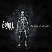 El texto musical OROBORUS de GOJIRA también está presente en el álbum The way of all flesh (2008)