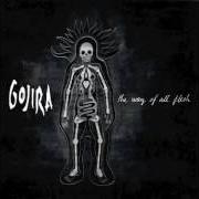 El texto musical THE SILVER CORD de GOJIRA también está presente en el álbum The way of all flesh (2008)