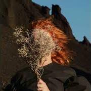 El texto musical SYSTEMAGIC de GOLDFRAPP también está presente en el álbum Silver eye (2017)