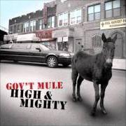 El texto musical BRIGHTER DAYS de GOV'T MULE también está presente en el álbum High & mighty (2006)