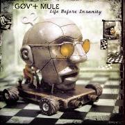 El texto musical WORLD GONE WILD de GOV'T MULE también está presente en el álbum Life before insanity (2001)