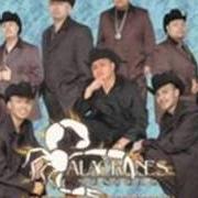 El texto musical DONDE ESTAS? de ALACRANES MUSICAL también está presente en el álbum Nuestra historia y algo más (2005)