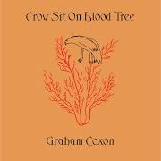 El texto musical BONFIRES de GRAHAM COXON también está presente en el álbum Crow sit on blood tree (2001)