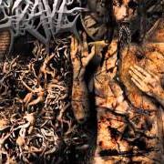 El texto musical AUTOPSIED (RE-RECORDED, BONUS TRACK) de GRAVE también está presente en el álbum Fiendish regression (2004)