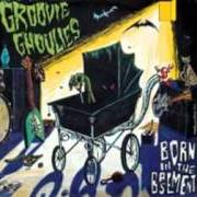 El texto musical THINK OF ME de GROOVIE GHOULIES también está presente en el álbum Born in the basement (1996)
