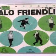 Halo friendlies