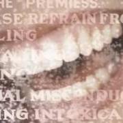 El texto musical PLASTIC de ALANIS MORISSETTE también está presente en el álbum Alanis (1991)