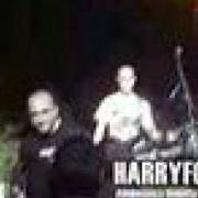 El texto musical IMMOBILE de HARRY FOTTER también está presente en el álbum Anarcopiattoloni the best of the ultra rarities and studio shitness session (2009)