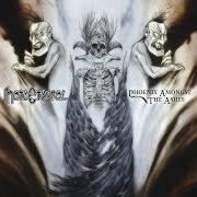 El texto musical LAKE ABLAZE de HATE ETERNAL también está presente en el álbum Phoenix amongst the ashes (2011)
