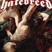 El texto musical THE LANGUAGE de HATEBREED también está presente en el álbum The divinity of purpose (2013)