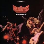 El texto musical TOYS AND FLAVORS de HELLACOPTERS también está presente en el álbum Toys and flavors (2000)