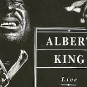 El texto musical COLD WOMEN WITH WARM HEARTS de ALBERT KING también está presente en el álbum Masterworks (1982)