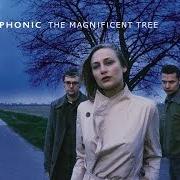 El texto musical VINEGAR & SALT de HOOVERPHONIC también está presente en el álbum The magnificent tree (2000)