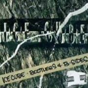 El texto musical WHAT CAN I DO? (REMIX) de ICE CUBE también está presente en el álbum Bootlegs & b-sides (1994)