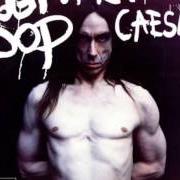 El texto musical CHARACTER de IGGY POP también está presente en el álbum American caesar (1993)