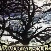 El texto musical COLD STREETS de IMMORTAL SOULS también está presente en el álbum Ice upon the night (2003)