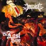 El texto musical YOU ARE THE DEAD de IMPALED también está presente en el álbum The last grasp (2007)