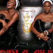 El texto musical LONG GOODBYE de INDIA.ARIE también está presente en el álbum Testimony: vol. 2, love & politics (2007)