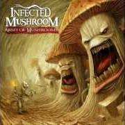 El texto musical SERVE MY THIRST de INFECTED MUSHROOM también está presente en el álbum Army of mushrooms (2012)