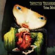 El texto musical CHANGE THE FORMALITY de INFECTED MUSHROOM también está presente en el álbum Vicious delicious (2007)