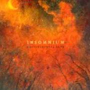 El texto musical THE GALE de INSOMNIUM también está presente en el álbum Above the weeping world (2006)