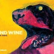 El texto musical THE DEVIL NEVER SLEEPS de IRON & WINE también está presente en el álbum The shepherd's dog (2007)