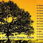 El texto musical SITUATIONS de JACK JOHNSON también está presente en el álbum In between dreams (bonus track version) (2005)